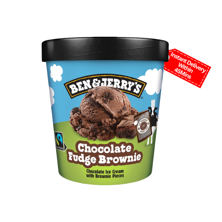 Ben & Jerry's chocolate fudge brownie 408 g